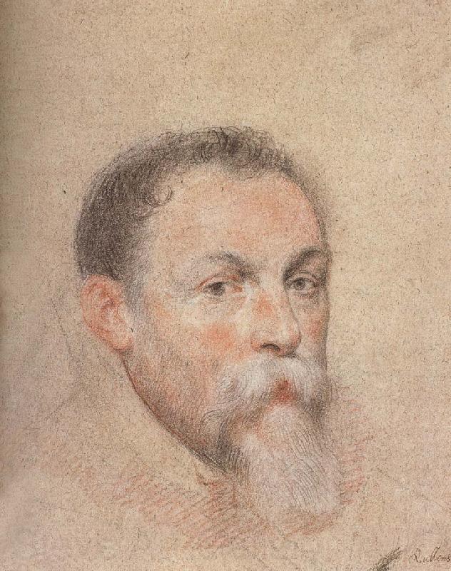Peter Paul Rubens Portrait of Yien Spain oil painting art